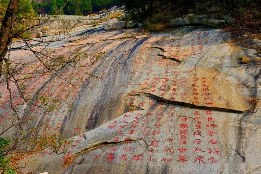 可爱吊带裙